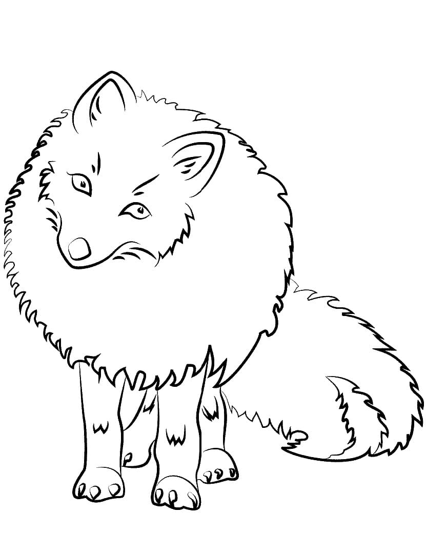 Raskrasil.com-Coloring-Pages-Arctic-Animals-31