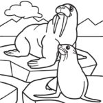 Raskrasil.com-Coloring-Pages-Arctic-Animals-36