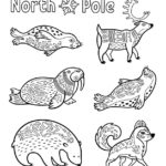 Raskrasil.com-Coloring-Pages-Arctic-Animals-41