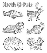 Arctic Animals Coloring Pages