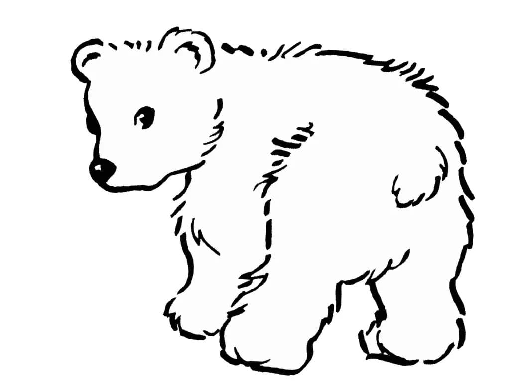 Raskrasil.com-Coloring-Pages-Arctic-Animals-42