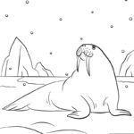 Raskrasil.com-Coloring-Pages-Arctic-Animals-50
