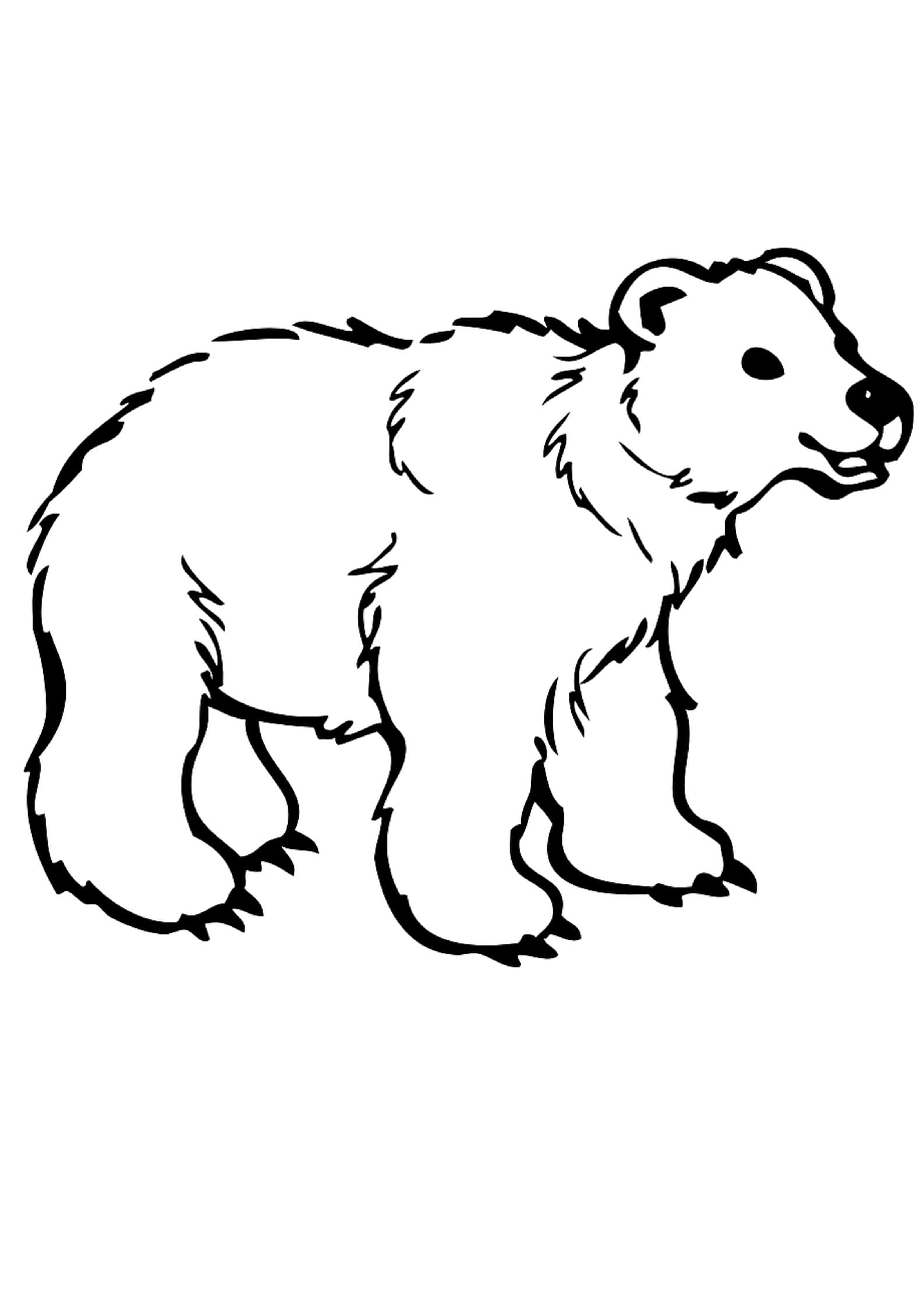 Raskrasil.com-Coloring-Pages-Arctic-Animals-51