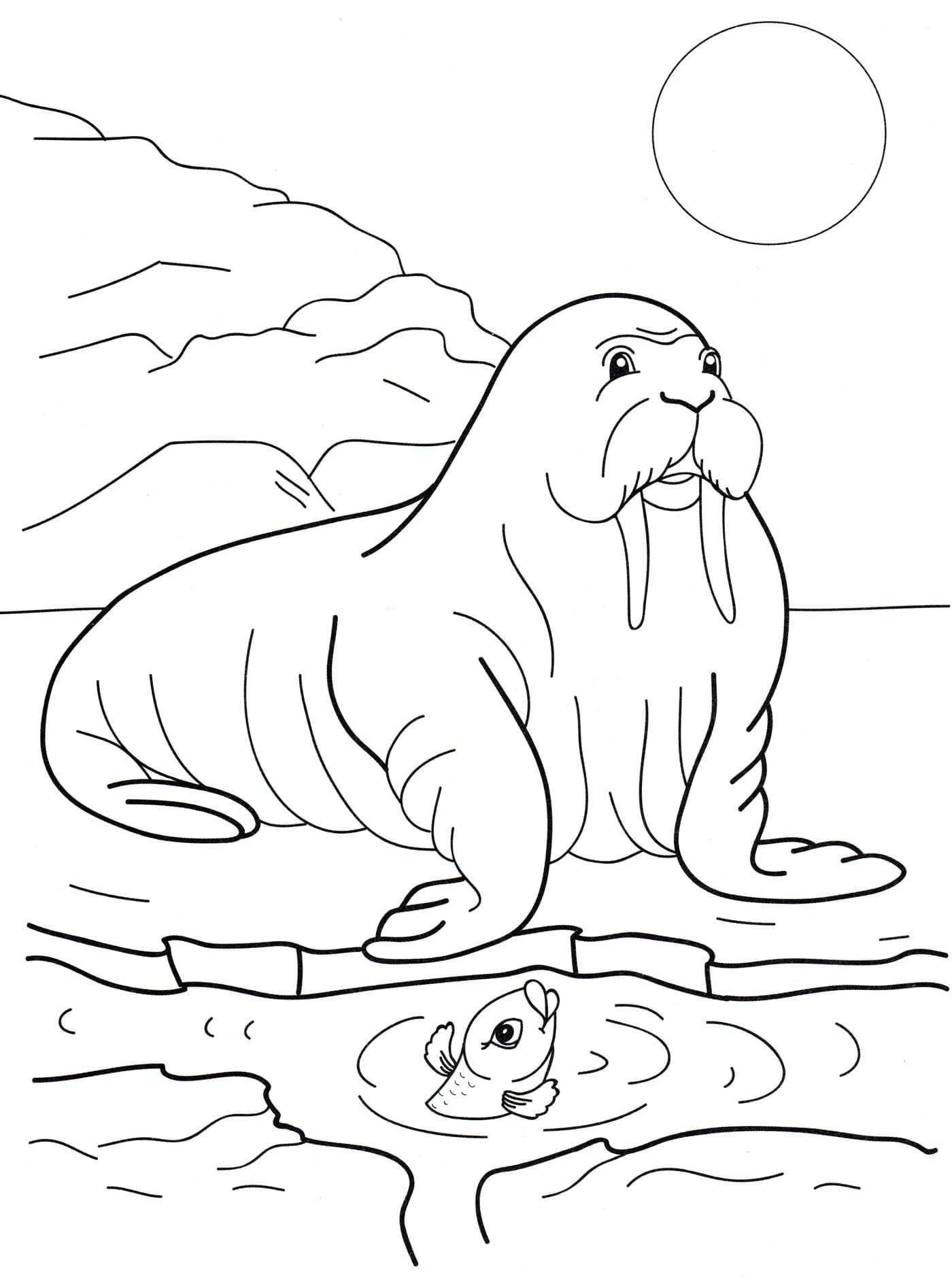 Raskrasil.com-Coloring-Pages-Arctic-Animals-55
