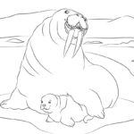 Raskrasil.com-Coloring-Pages-Arctic-Animals-56