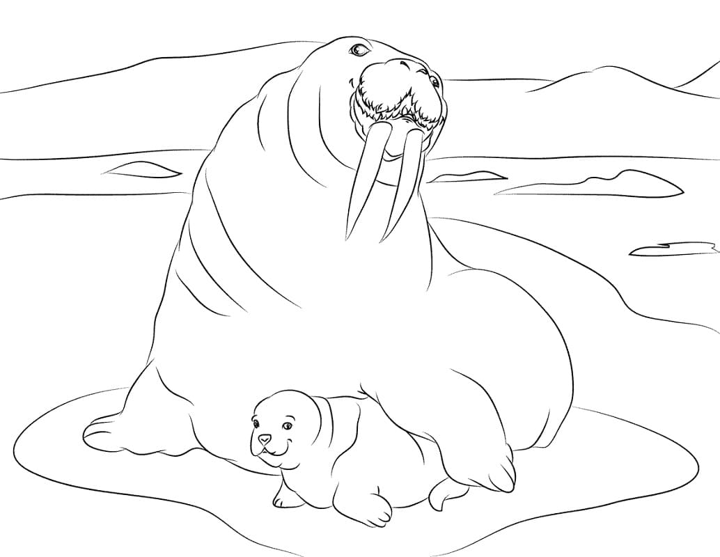 Raskrasil.com-Coloring-Pages-Arctic-Animals-56