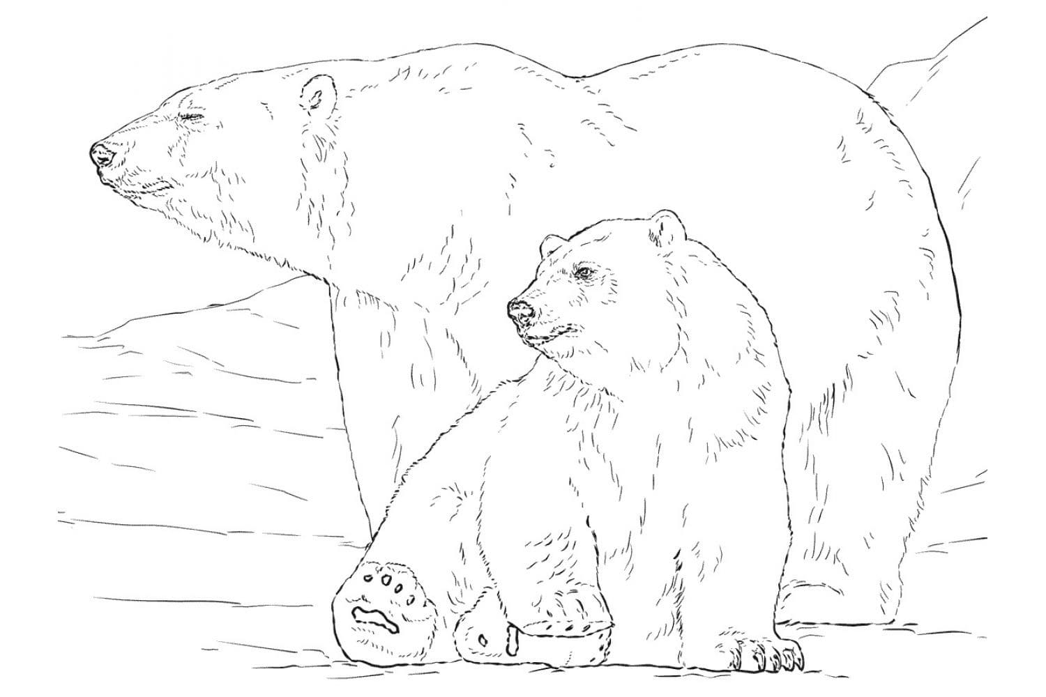 Raskrasil.com-Coloring-Pages-Arctic-Animals-59