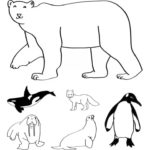 Raskrasil.com-Coloring-Pages-Arctic-Animals-6