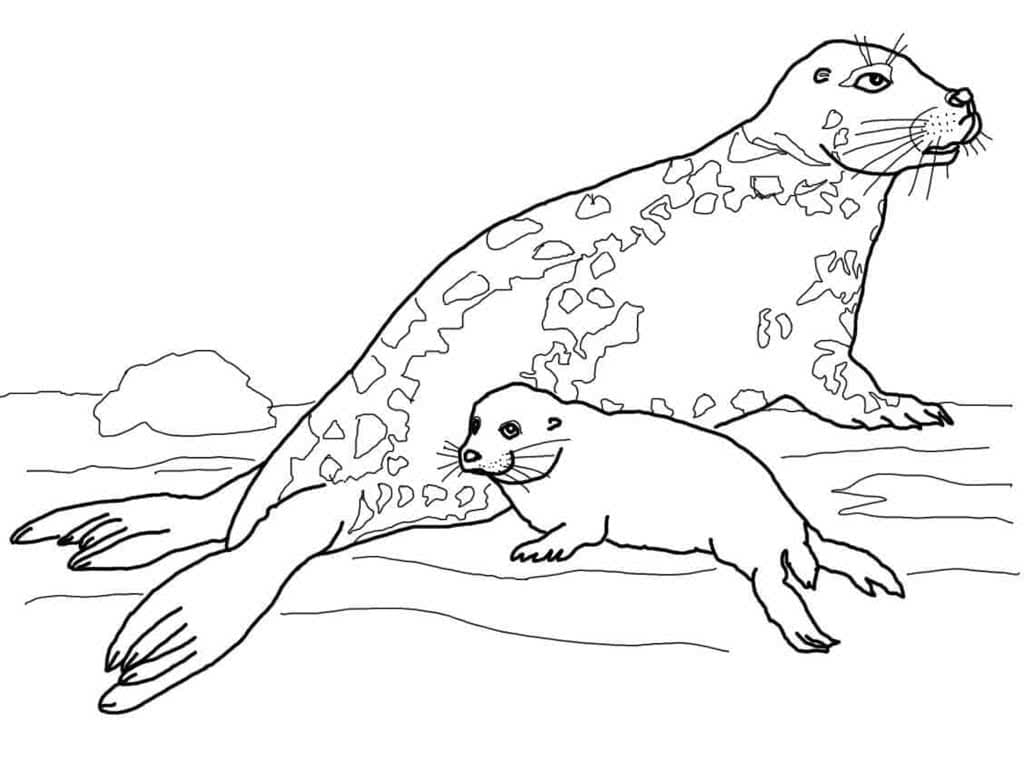 Raskrasil.com-Coloring-Pages-Arctic-Animals-60