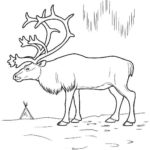Previous Attachment
