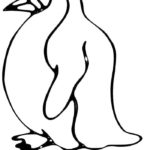 Raskrasil.com-Coloring-Pages-Arctic-Animals-66