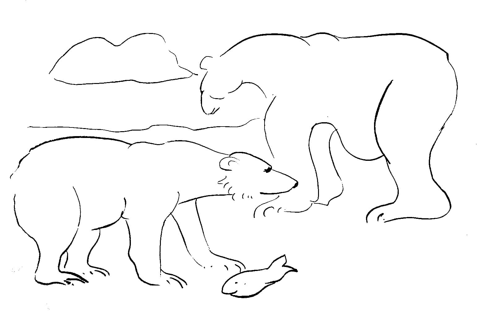 Raskrasil.com-Coloring-Pages-Arctic-Animals-69