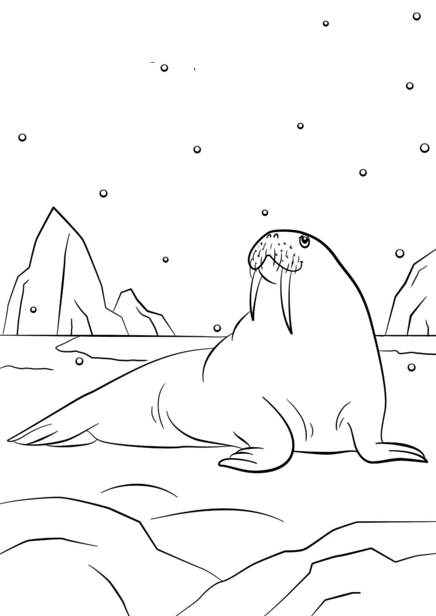 Raskrasil.com-Coloring-Pages-Arctic-Animals-70