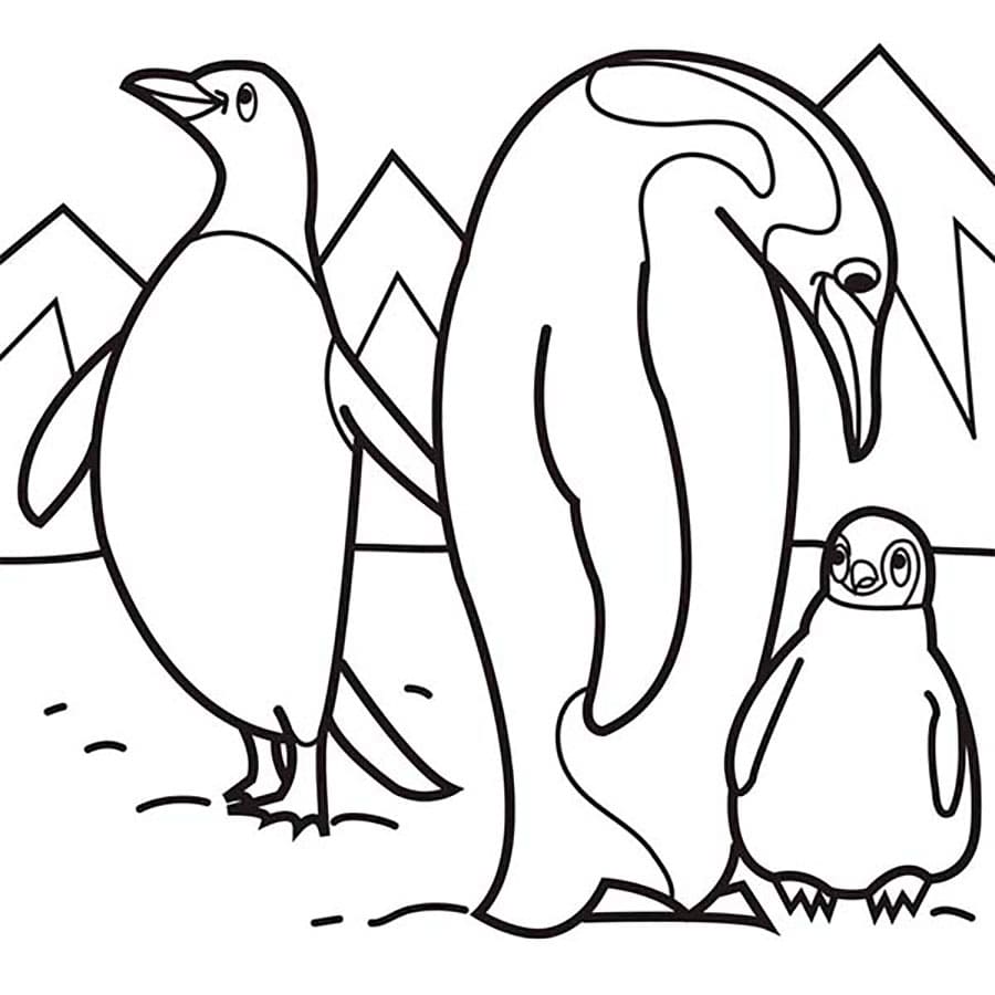 Raskrasil.com-Coloring-Pages-Arctic-Animals-74