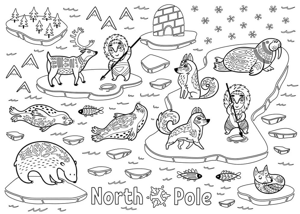 Raskrasil.com-Coloring-Pages-Arctic-Animals-78