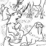 Raskrasil.com-Coloring-Pages-Arctic-Animals-82