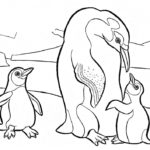 Raskrasil.com-Coloring-Pages-Arctic-Animals-83