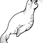 Raskrasil.com-Coloring-Pages-Arctic-Animals-85