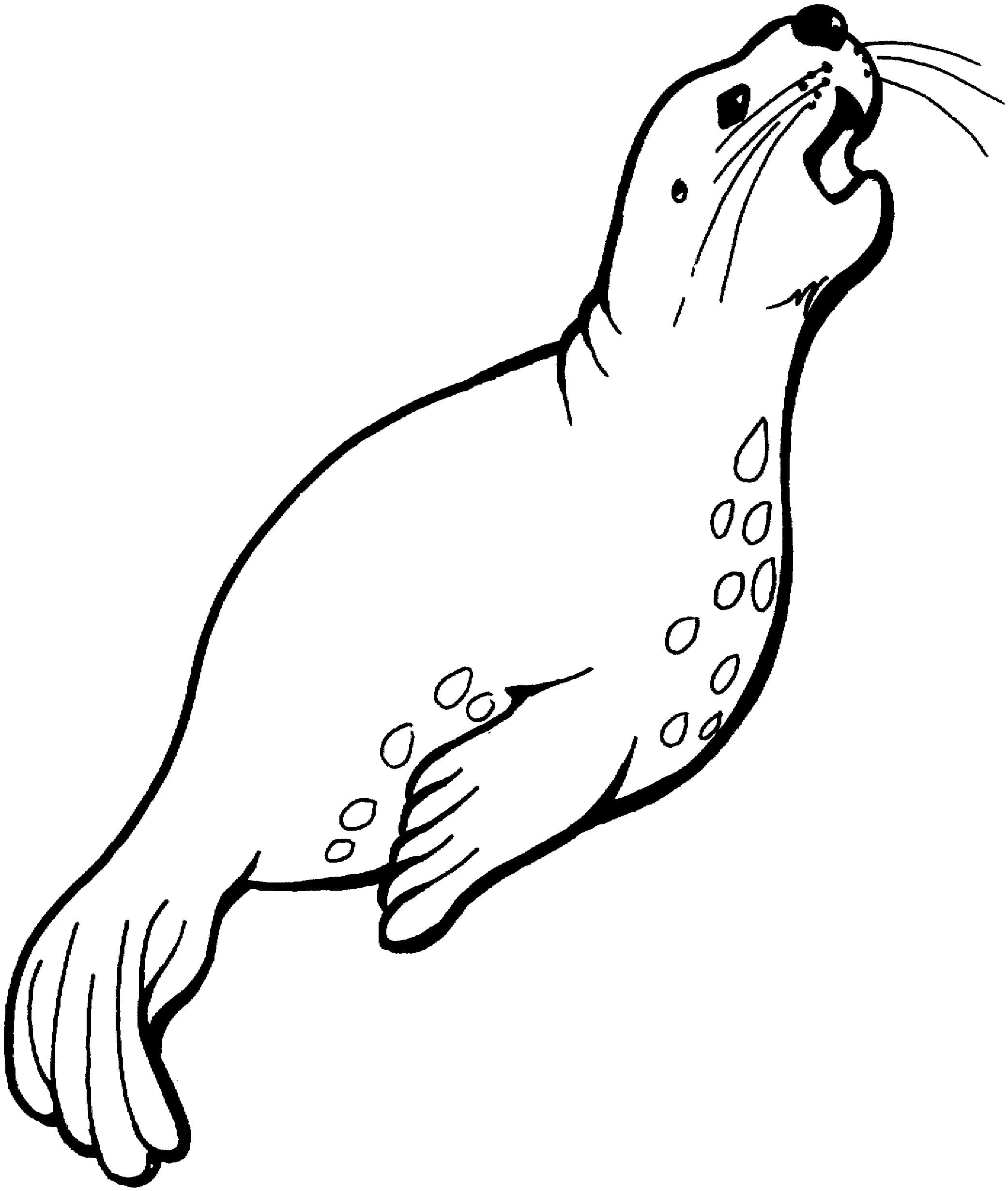 Raskrasil.com-Coloring-Pages-Arctic-Animals-85