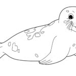 Raskrasil.com-Coloring-Pages-Arctic-Animals-88