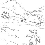 Raskrasil.com-Coloring-Pages-Arctic-Animals-89