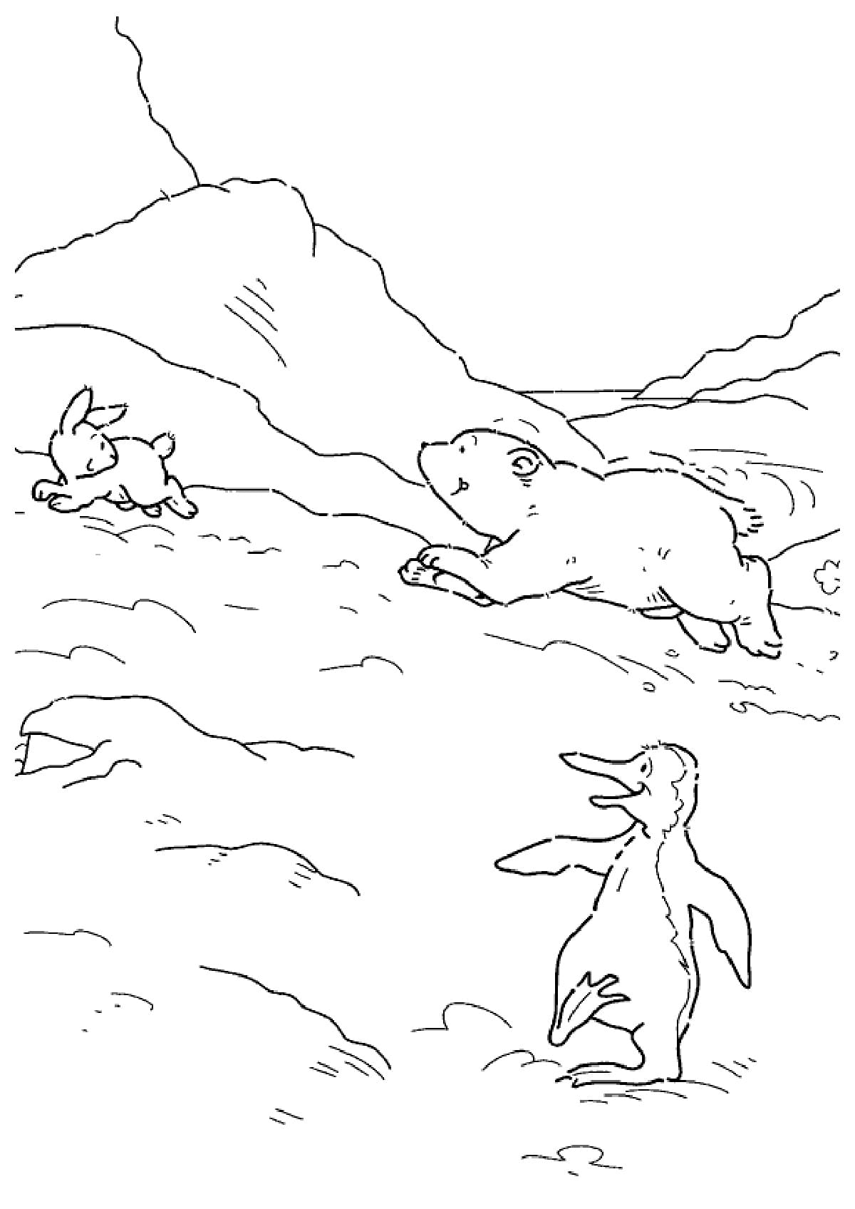 Raskrasil.com-Coloring-Pages-Arctic-Animals-89