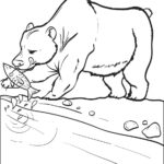 Raskrasil.com-Coloring-Pages-Arctic-Animals-92