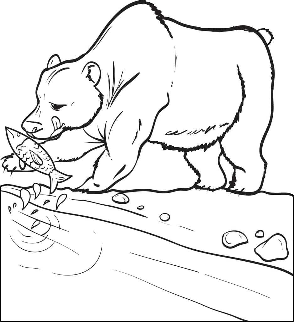 Raskrasil.com-Coloring-Pages-Arctic-Animals-92