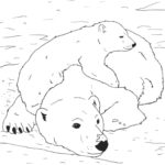 Raskrasil.com-Coloring-Pages-Arctic-Animals-93