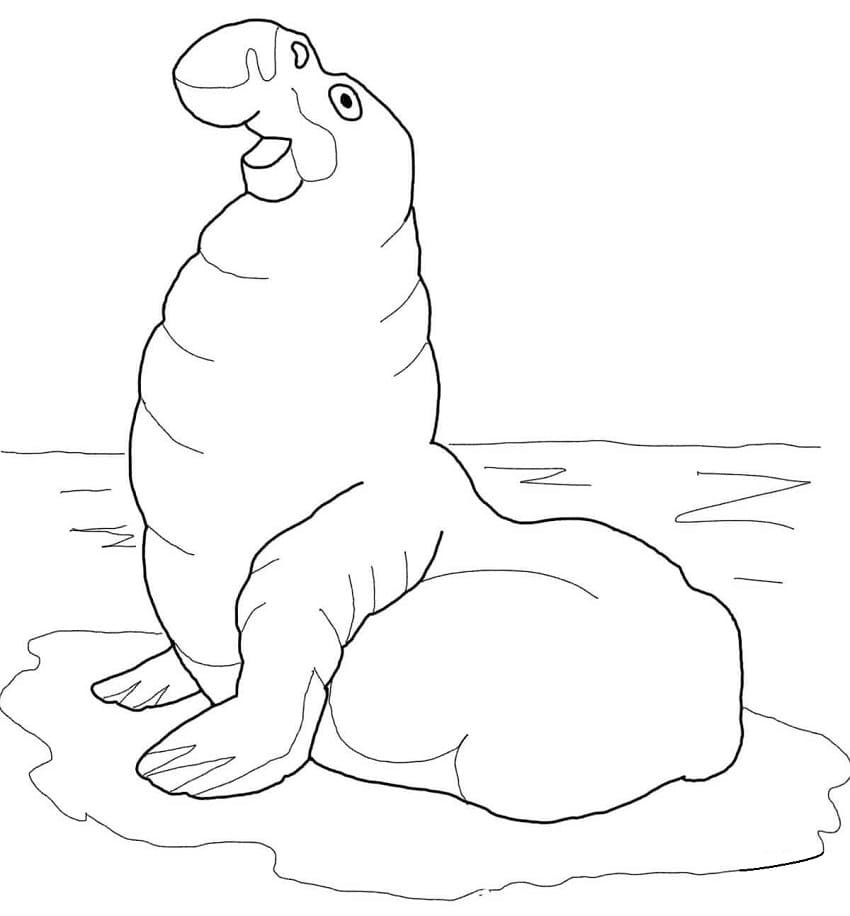 Raskrasil.com-Coloring-Pages-Arctic-Animals-95