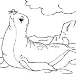 Raskrasil.com-Coloring-Pages-Arctic-Animals-96