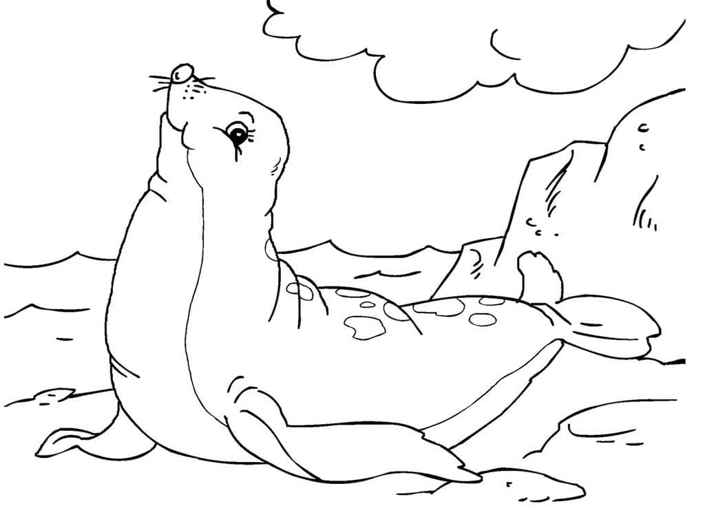 Raskrasil.com-Coloring-Pages-Arctic-Animals-96
