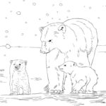 Raskrasil.com-Coloring-Pages-Arctic-Animals-98
