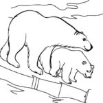 Raskrasil.com-Coloring-Pages-Arctic-Animals-99