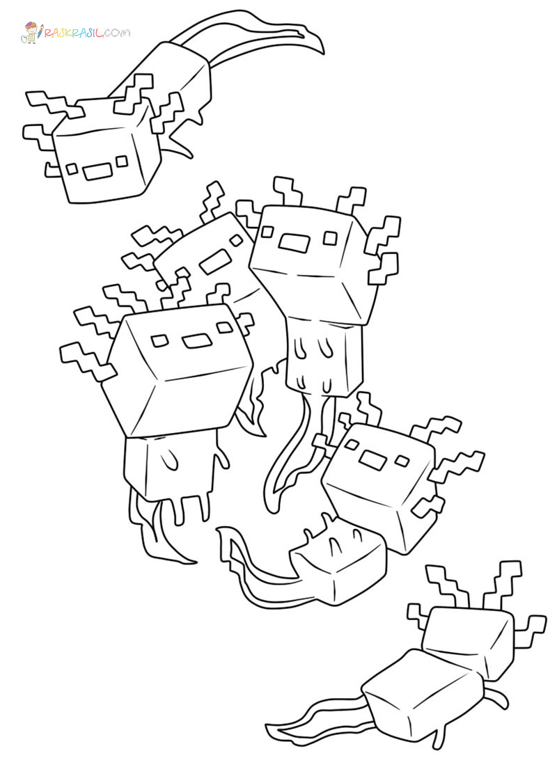 Coloriage Axolotl Minecraft à imprimer