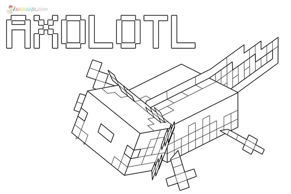 Desenhos de Axolotl Minecraft para Colorir