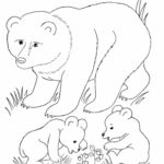 Raskrasil.com-Coloring-Pages-Baby-Animals-106