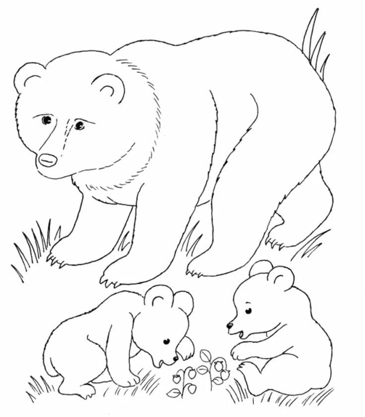 Baby Animal Coloring Pages | 100 Free Printable Pictures