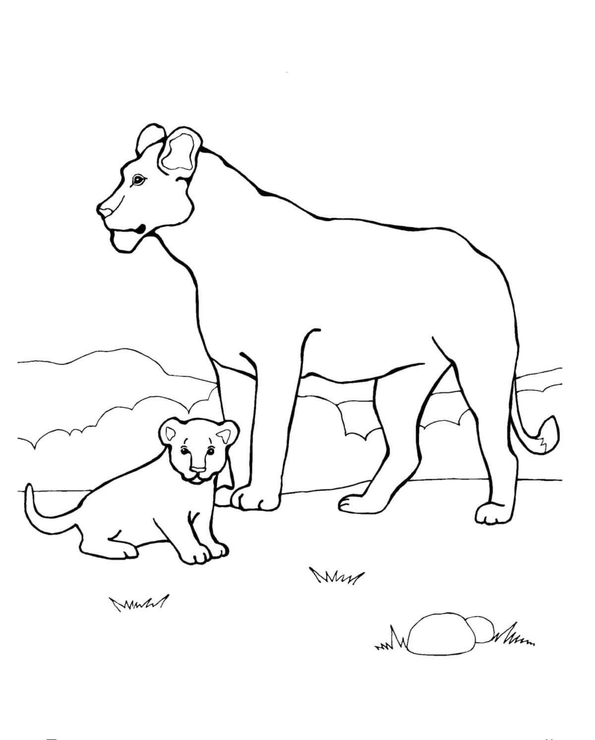 Baby Animal Coloring Pages