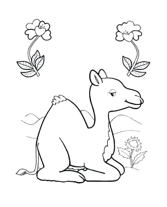 Raskrasil.com-Coloring-Pages-Baby-Animals-108