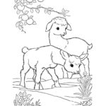 Raskrasil.com-Coloring-Pages-Baby-Animals-14