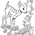 Raskrasil.com-Coloring-Pages-Baby-Animals-15