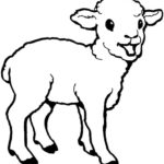 Raskrasil.com-Coloring-Pages-Baby-Animals-17