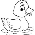 Raskrasil.com-Coloring-Pages-Baby-Animals-45