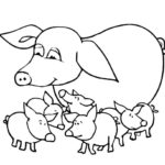 Raskrasil.com-Coloring-Pages-Baby-Animals-52