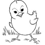 Raskrasil.com-Coloring-Pages-Baby-Animals-54
