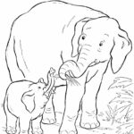 Raskrasil.com-Coloring-Pages-Baby-Animals-80