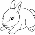 Raskrasil.com-Coloring-Pages-Baby-Animals-81