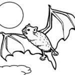 Raskrasil.com-Coloring-Pages-Bat-14