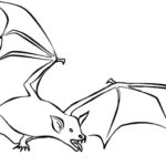Raskrasil.com-Coloring-Pages-Bat-24
